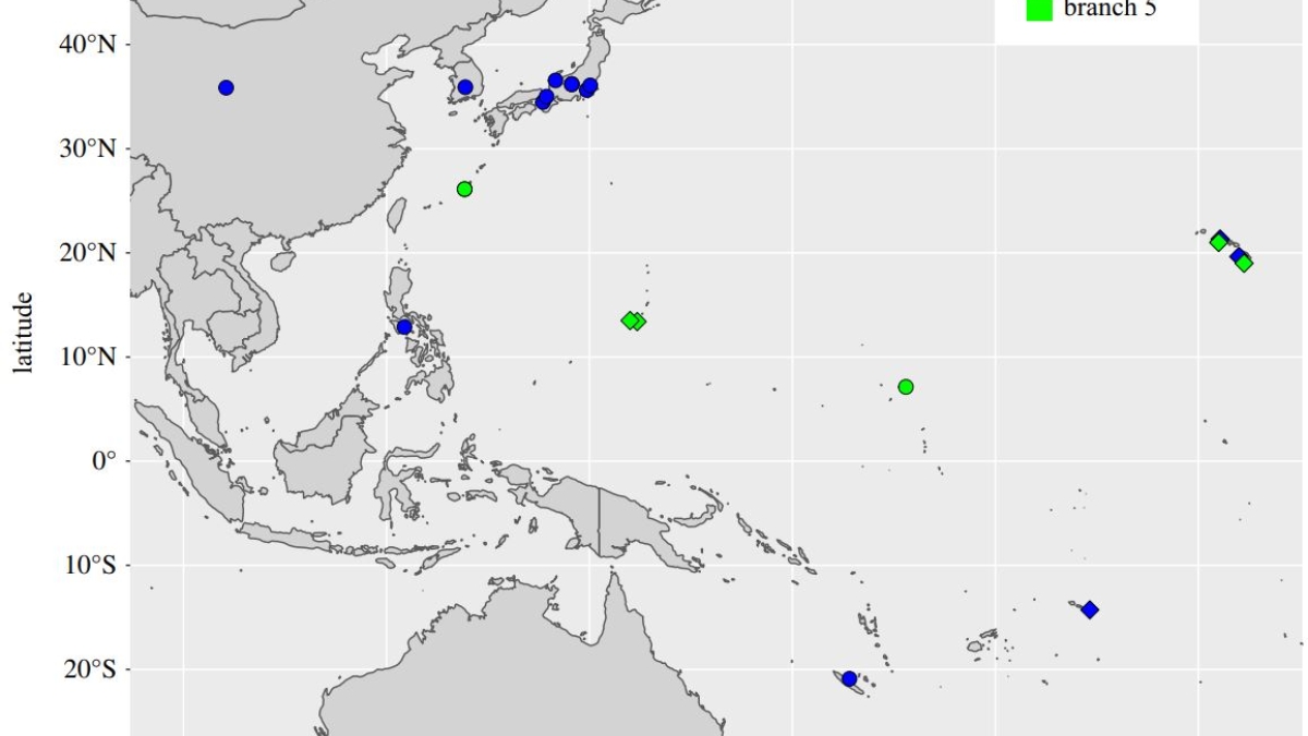 Map of the Pacific Islands M. Leprae Genomes