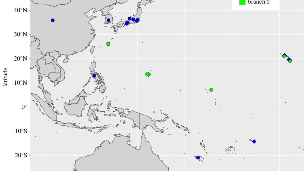 Map of the Pacific Islands M. Leprae Genomes