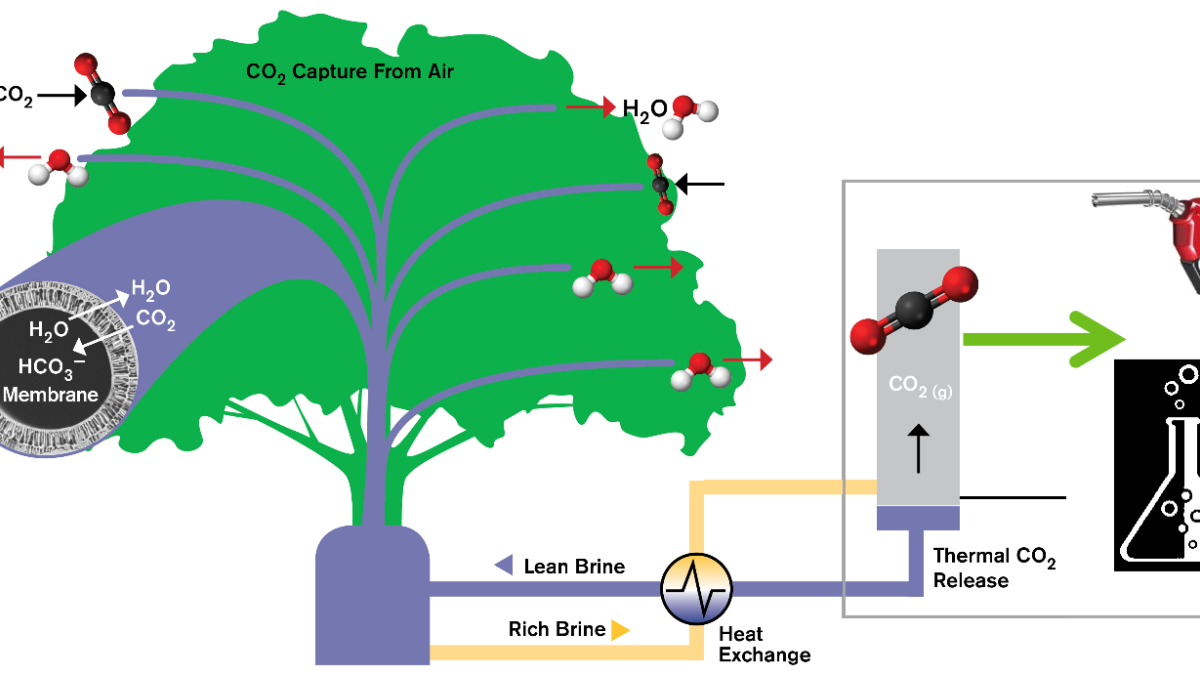 diagram of new low-cost carbon capture concept 
