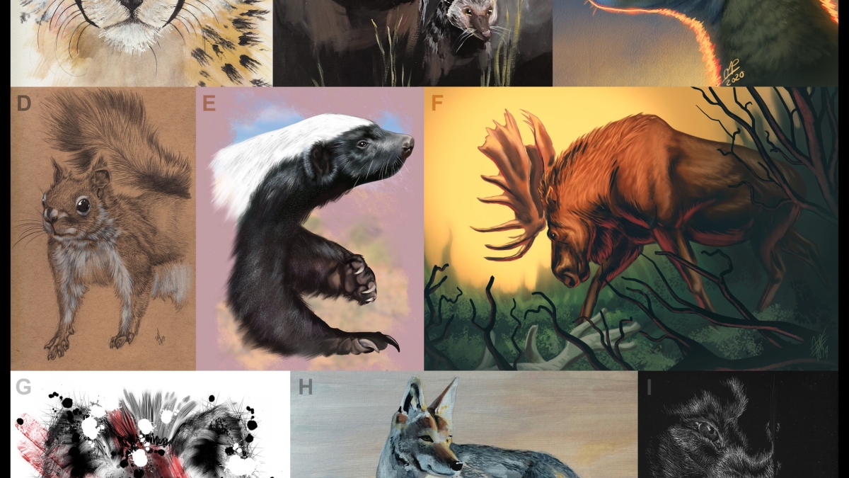 Artistic renderings of March Mammal Madness animals.