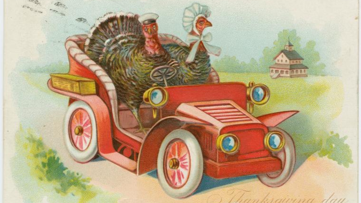 illustration of two turkeys driving a car