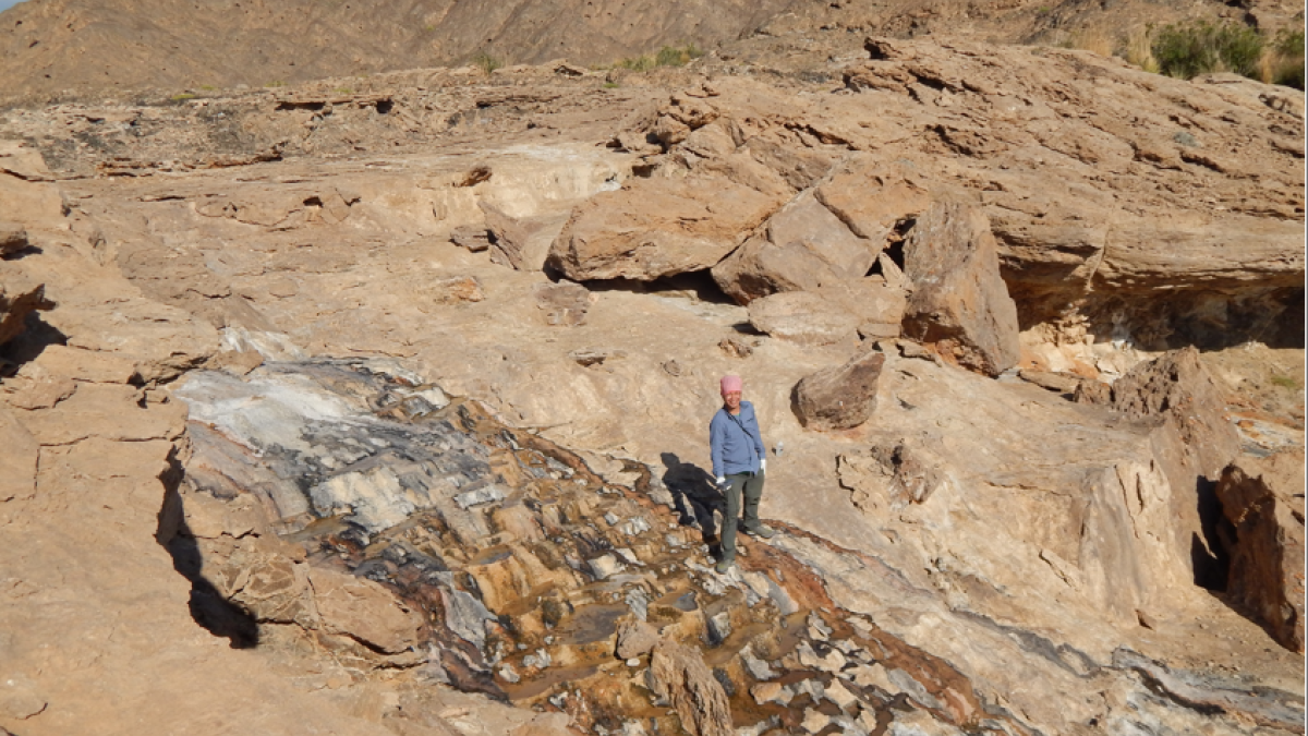 Man standing near a highly alkaline spring in Oman. The modern spring lies along massive deposits of calcium carbonate that formed from thousands of years of spring discharge. In the background are mountains comprised of ultramafic rocks.