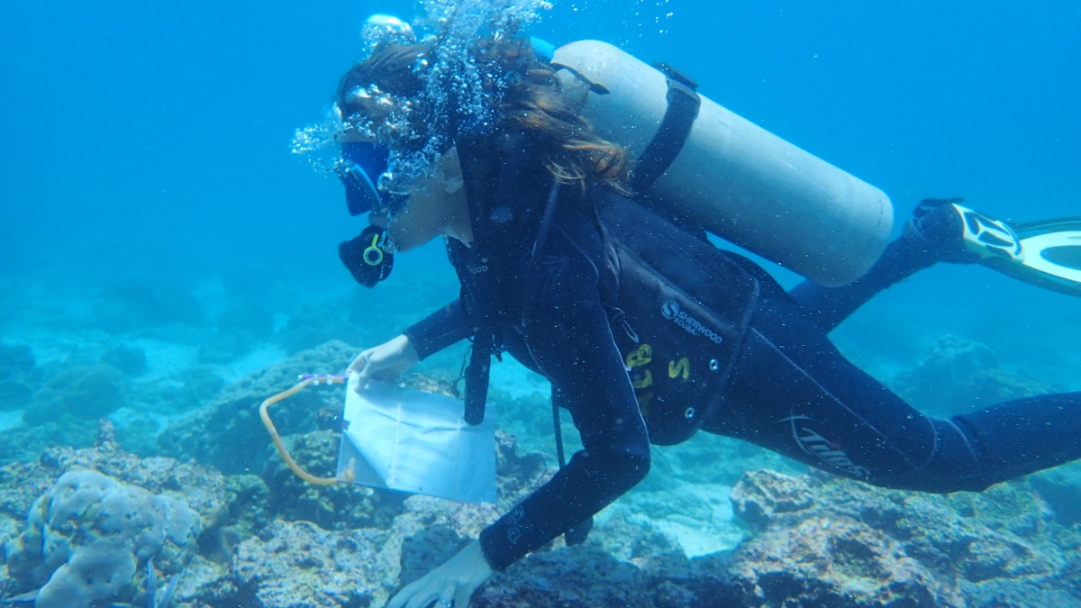 A woman scuba dives