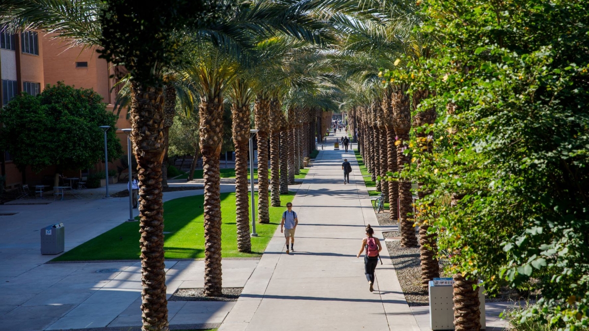 View looking down Palm Walk on ASU's Tempe campus.
