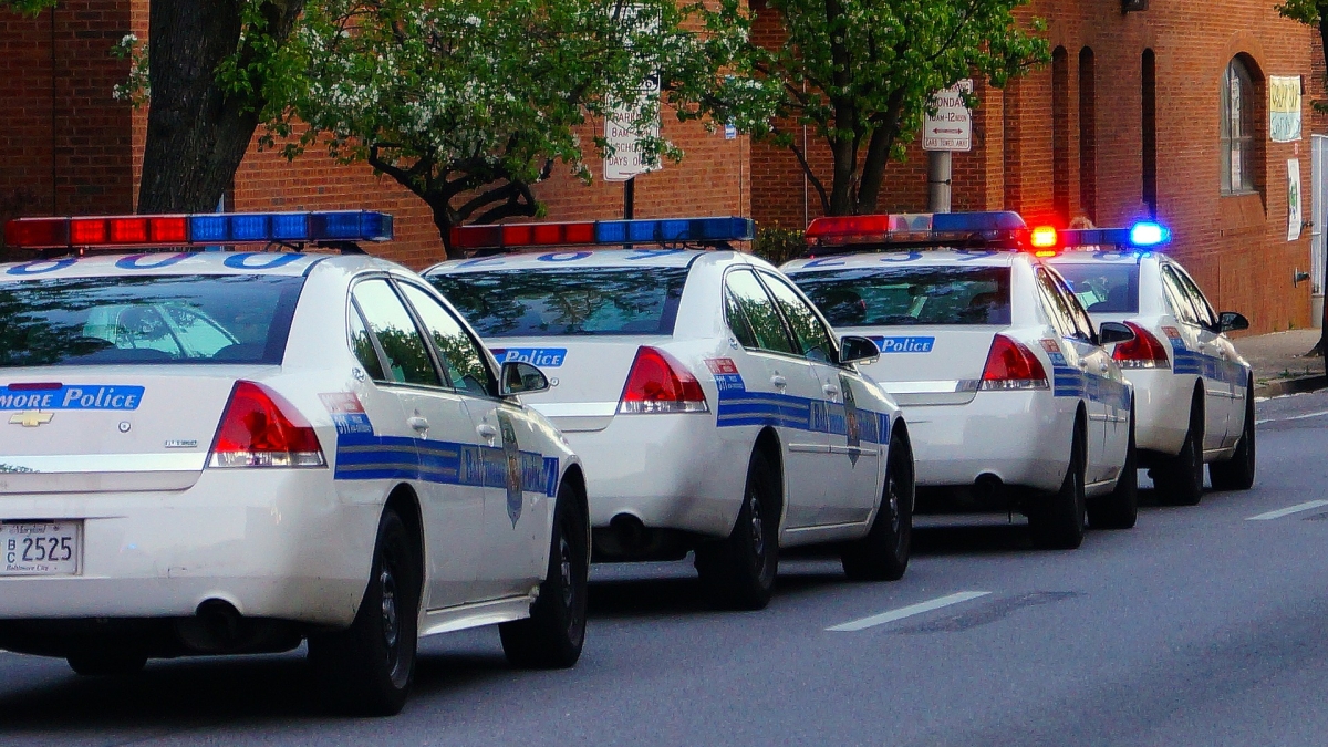 line of police cars on a street