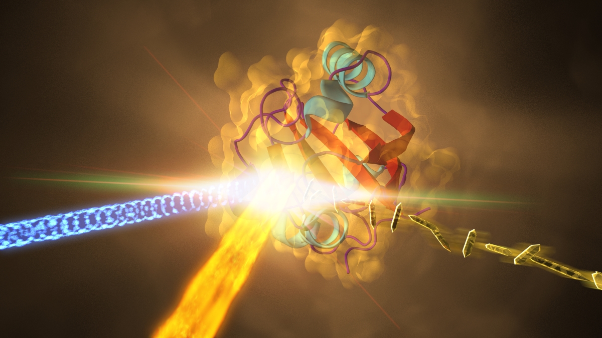 An illustration of an X-ray laser capture of PYP proteins