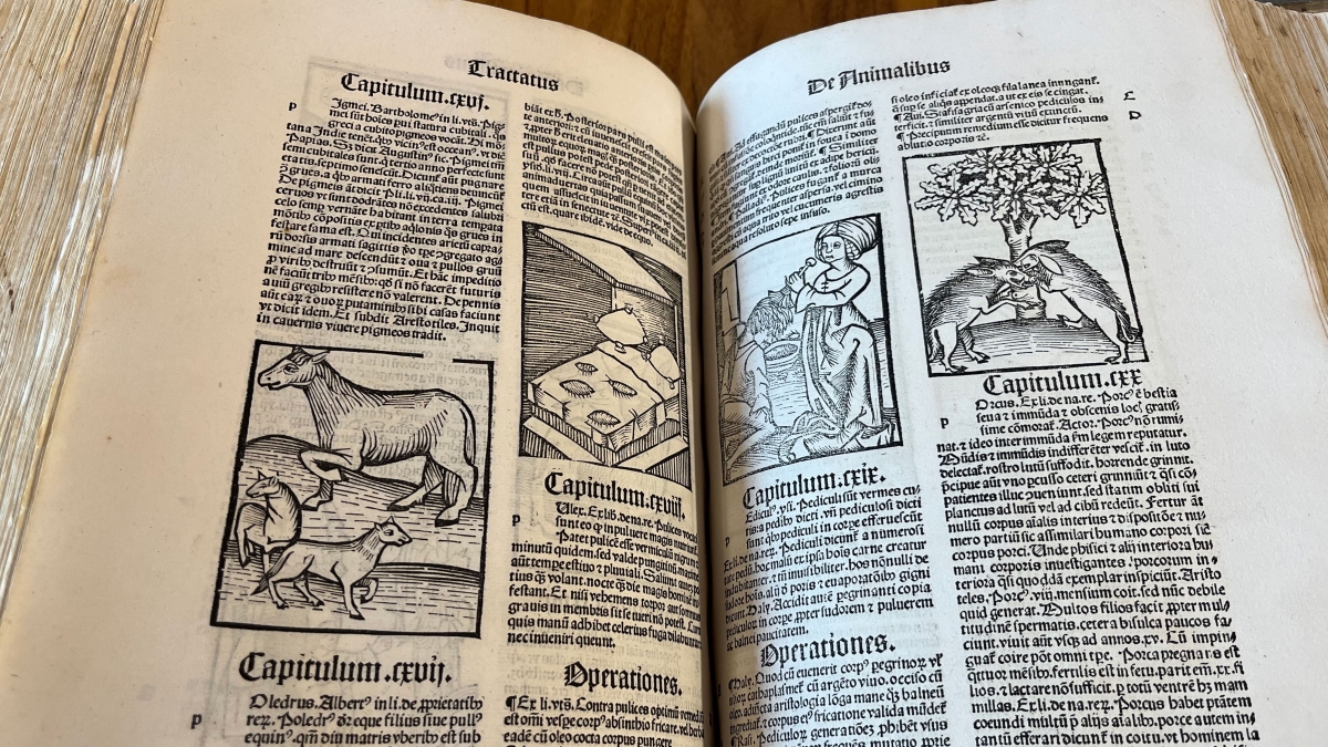 Rare herbal book opened to middle pages 