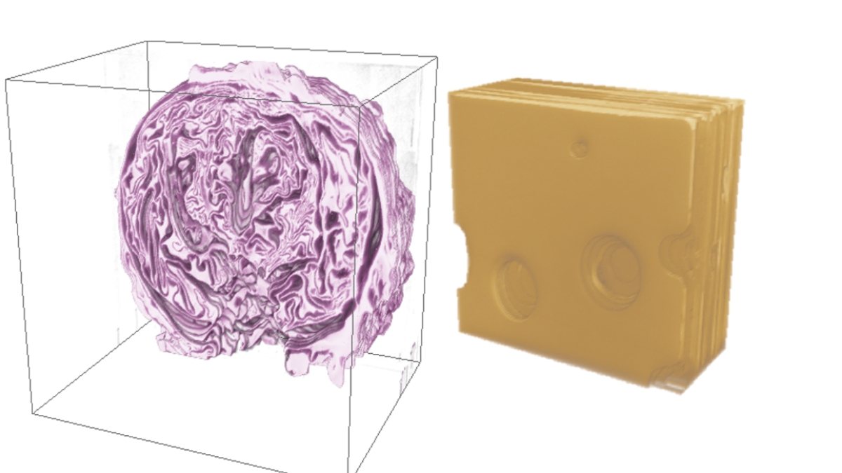 3D reconstruction renderings of red cabbage and Swiss cheese