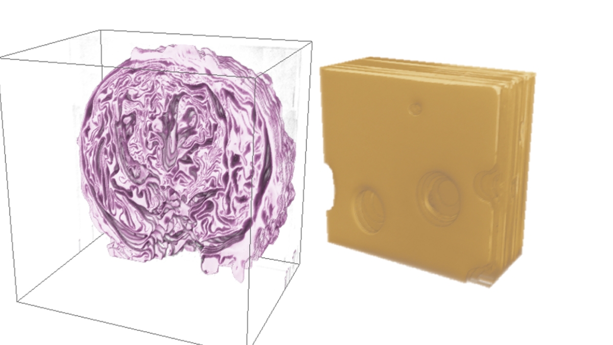 3D reconstruction renderings of red cabbage and Swiss cheese