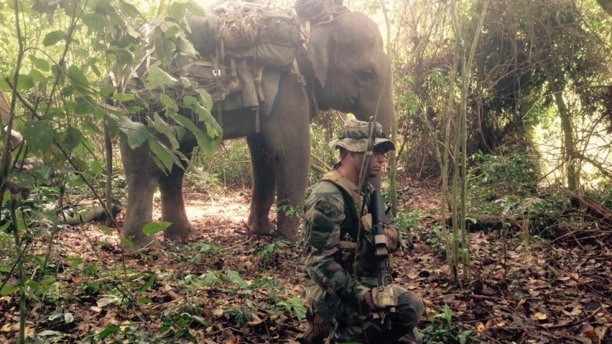 Nick in military uniform kneeling in a lush green jungle with a large grey elephant in the background