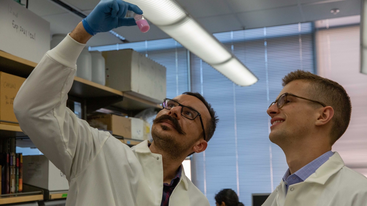 ASU doctoral student Babak Moghadas and research scientist Jacob Knittel examine a small bottle of pink oxygen sensing nanoprobe solution