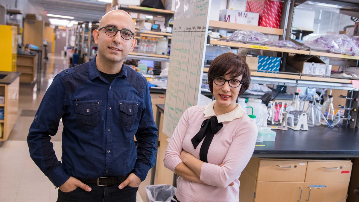 ASU assistant professors Samira Kiani and Mo Ebrahimkhani pose side by side in Dr. Kiani's lab