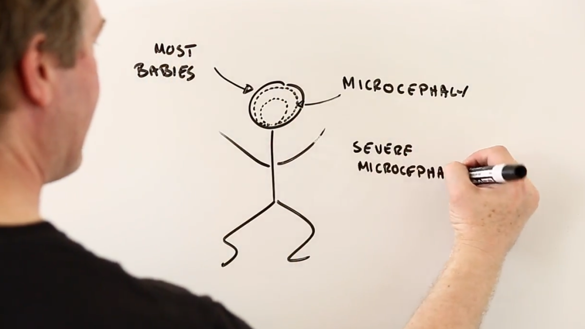 A screenshot of a whiteboard in a video on the Zika virus.