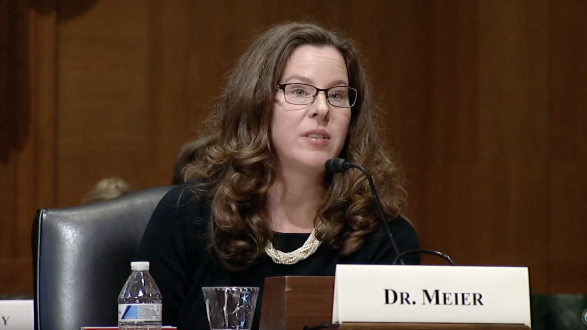 ASU psychologist Madeline Meier speaks before a Senate caucus