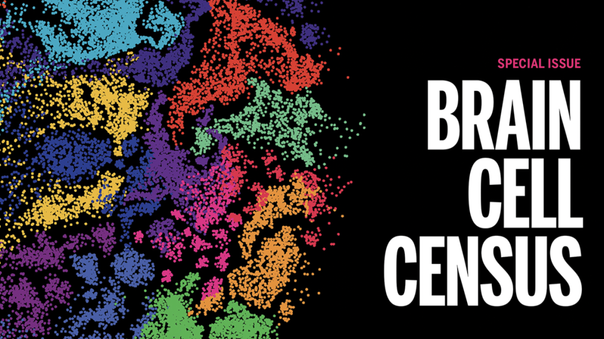 Abstract illustration of multi-colored shapes with the words "brain cell census."