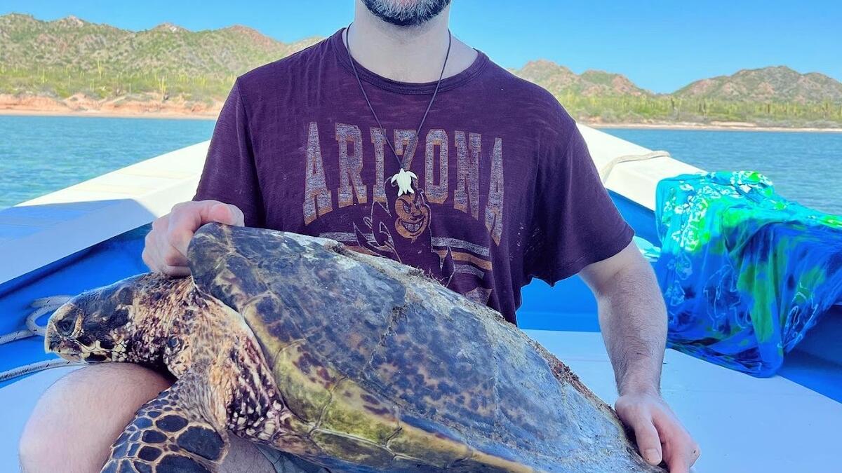 ASU Assistant Research Professor Jesse Senko smiling at the camera and holding a large turtle.