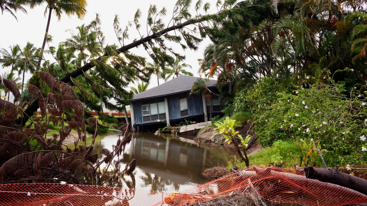 Image of severe flooding and damaged trees with blue house sinking into floodwater
