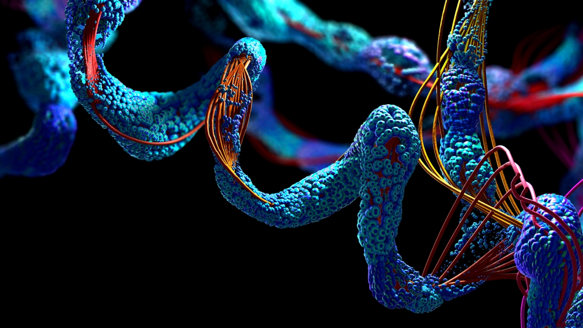 Graphic illustration of a close-up view of proteins' structure, represented as several blue coils with string-like strands of various colors wrapping around them.