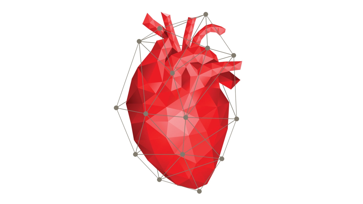 Graphic of a heart made of polygons and interconnected lines.