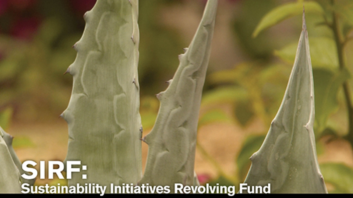 SIRF-FY2013 report cover showing plants and various sustainability-themed images