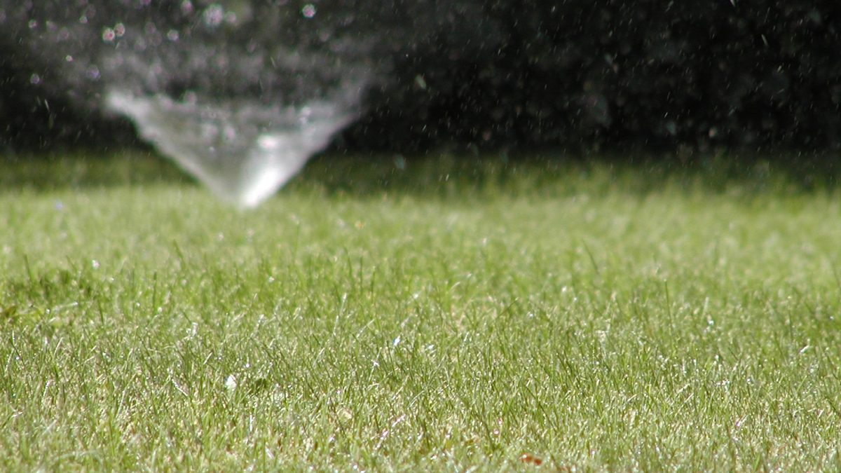 sprinker watering lawn