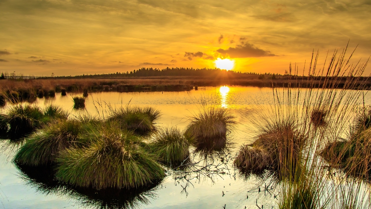 photo of sunset over a marsh