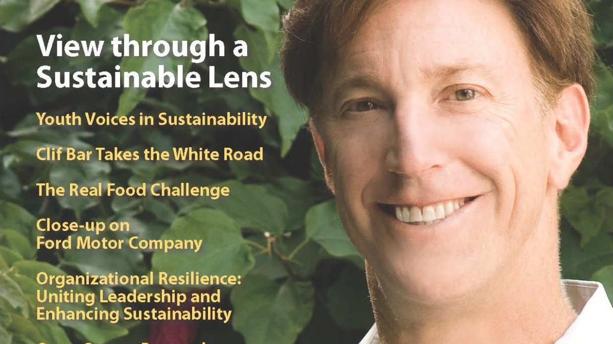 Cover image of Sustainability: The Journal of Record
