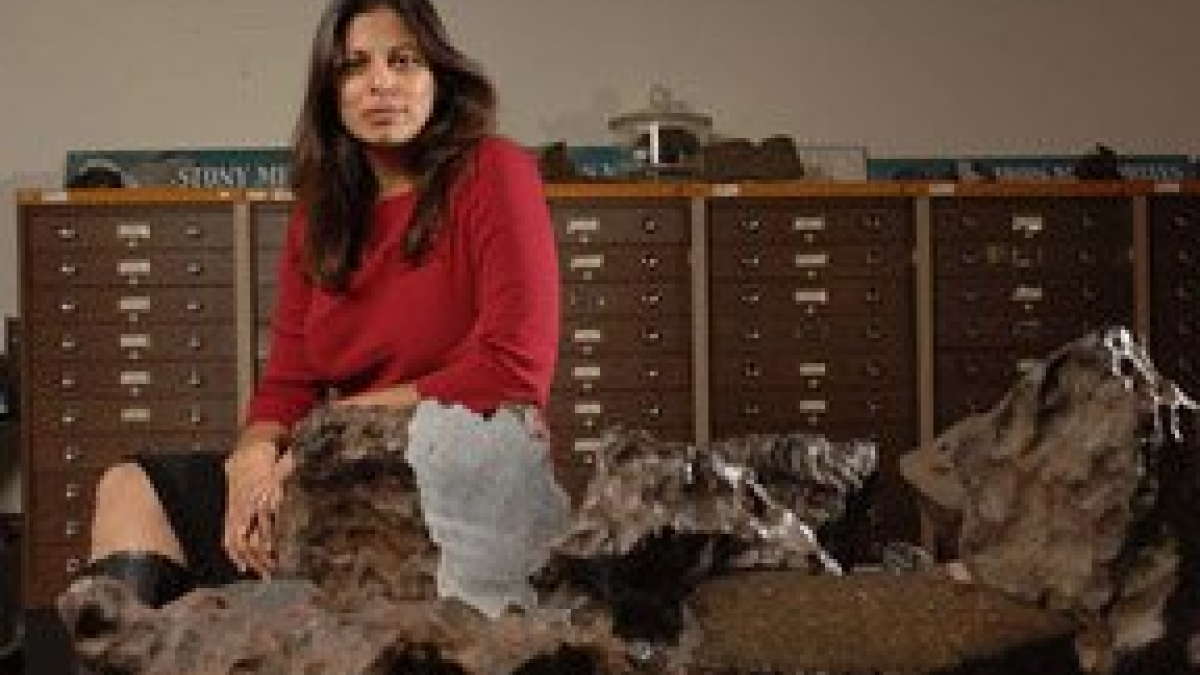 woman standing in front of meteorites