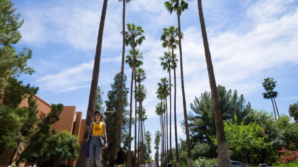 A photograph of Palm Walk