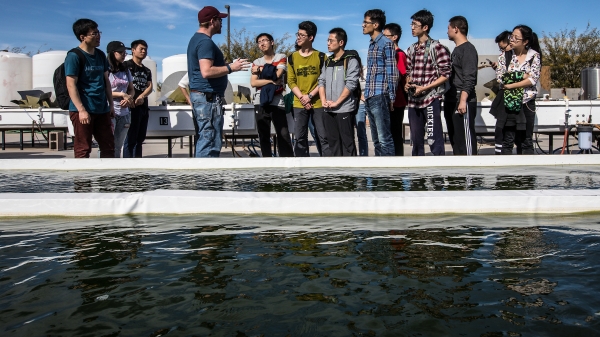 Beihang University students learn about an algae research facility