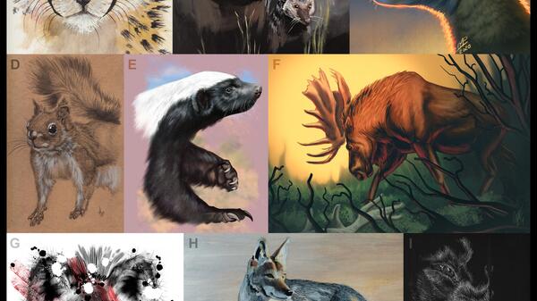 Illustrated images of a jaguar, warthog, moose and more. 
