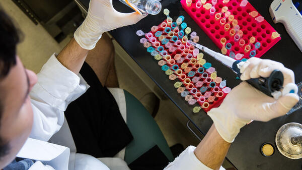 Overhead shot of a scientist filling tubes with a liquid in a lab