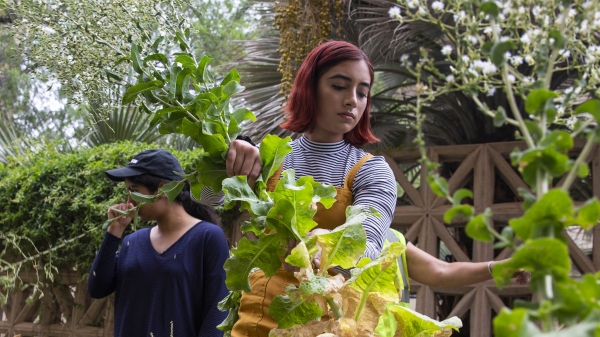 ASU gardening class