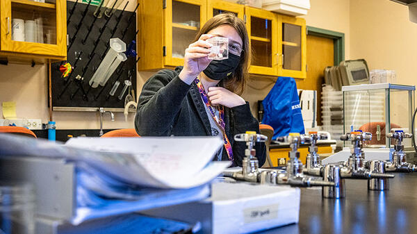 student in ASU lab looking at container with spider egg sack