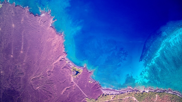 Aerial view of coastline in Hawaii