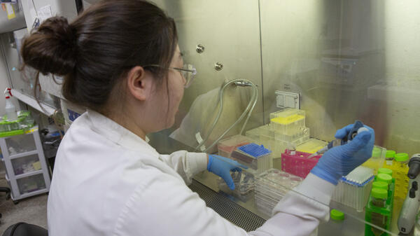 Person in a white lab coat and blue gloves handling lab equipment to research stem cell technology.