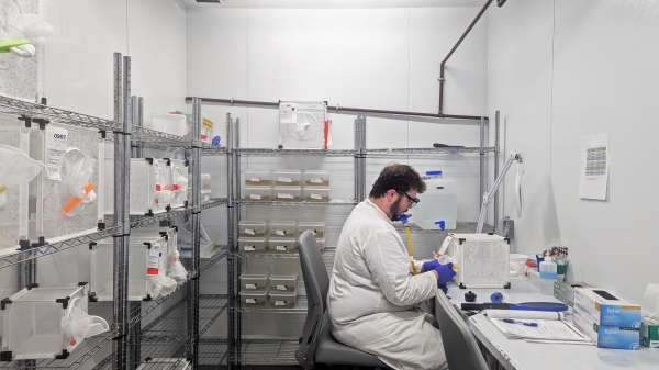 A man in a lab coat and blue gloves sits at a desk in a lab with boxes full of mosquitoes