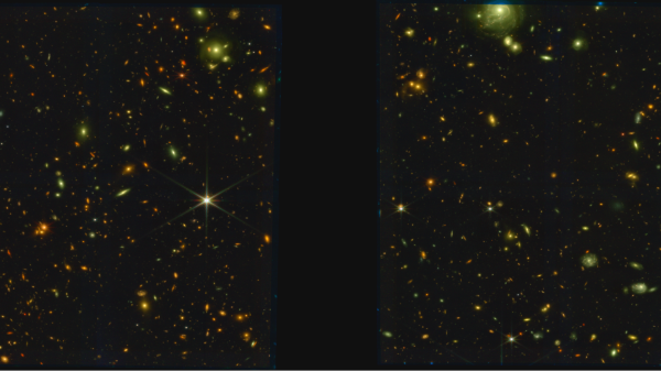 JWST NIRCam imaging of star-forming protocluster PHz G191.24+62.04