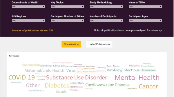 Screenshot image of the online Indigenous Health Research Dashboard