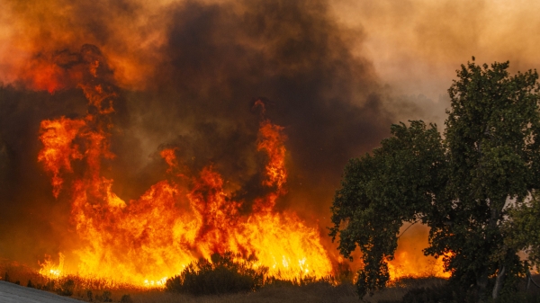 Fire burning brush in Sepulveda Basin, California