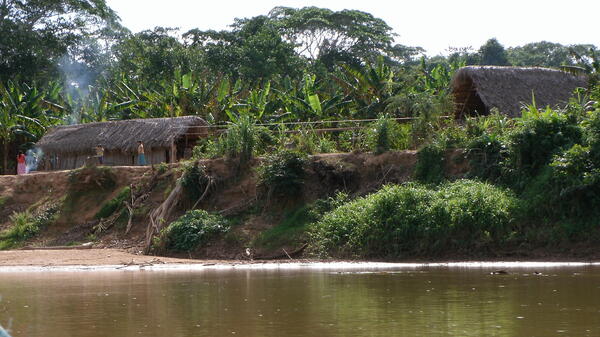 photo of Tsimane house seen from river