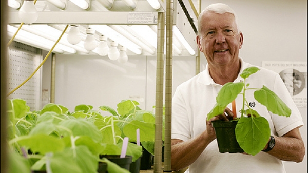 ASU Regents&#039; Professor Charles Arntzen