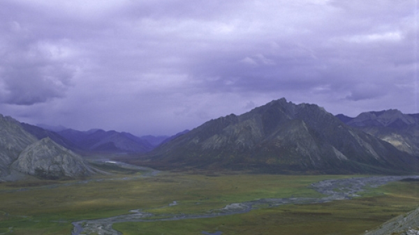 North Alaskan wilderness