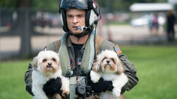 A Navy pilot helps rescue dogs from a Houston-area pet shelter after Hurricane Harvey