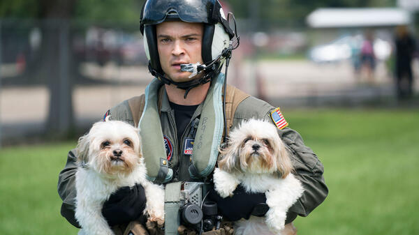 A Navy pilot helps rescue dogs from a Houston-area pet shelter after Hurricane Harvey