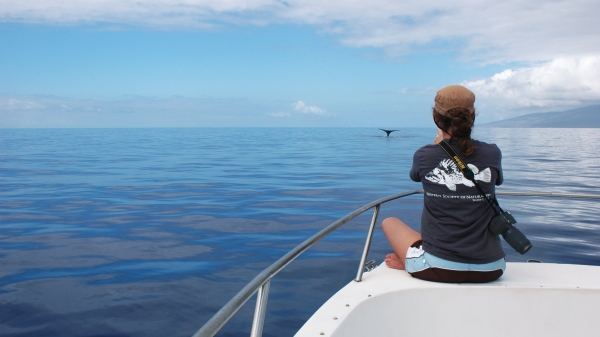 ASU biodiversity expert Leah Gerber observes whales.