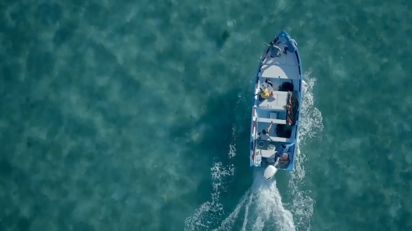 An aerial photo of a boat on the ocean tracking turtles