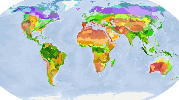 World ecoregions
