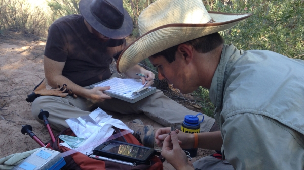 researchers using mobile app in the field