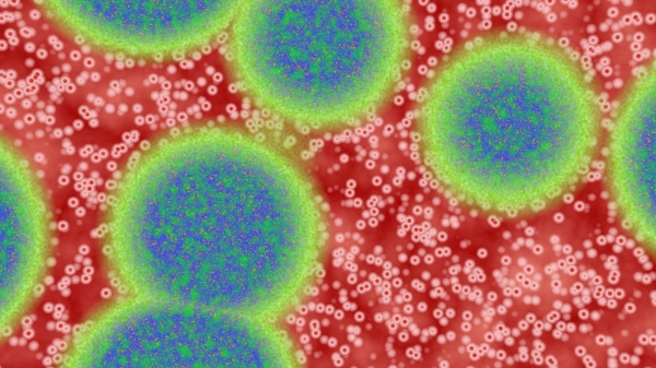 picture of blue cells on a red background